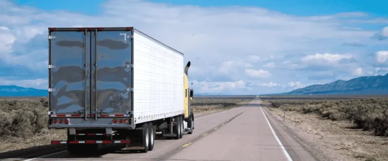 What Are the Best Man and Van Services in Richmond?