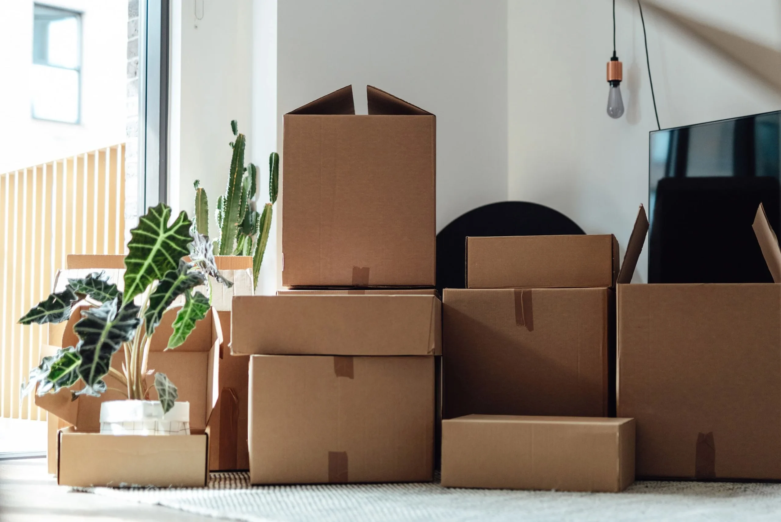 Affordable Moving Boxes in London Quality Cardboard Boxes for Safe Packing