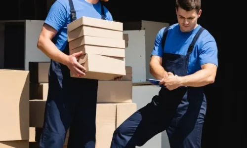Packers and Movers